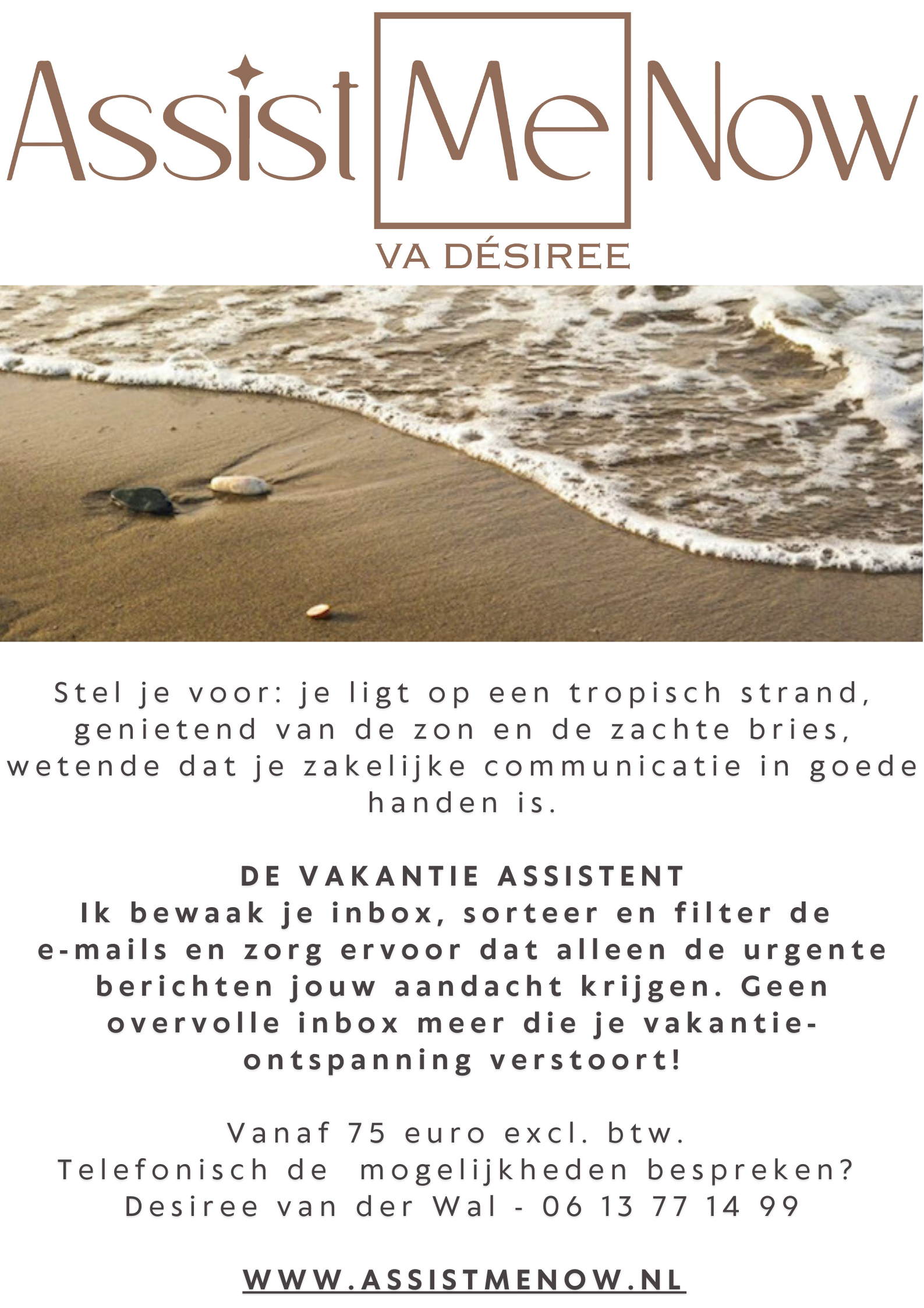 De vakantie assistent